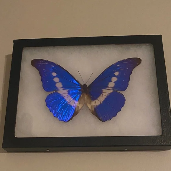 Live Listing - Picture 1 of 1